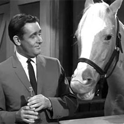 alan young